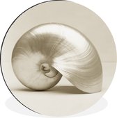 Cercle mural - Cercle mural - Coquillage - Perle - Wit - Aluminium - ⌀ 90 cm - Intérieur et extérieur