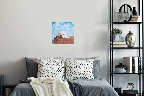 Stickers Stickers muraux - Chien maltais dans une caisse en bois - 30x30 cm - Film adhésif