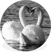 WallCircle - Wandcirkel ⌀ 60 - Twee zwanen in het water - Ronde schilderijen woonkamer - Wandbord rond - Muurdecoratie cirkel - Kamer decoratie binnen - Wanddecoratie muurcirkel - Woonaccessoires