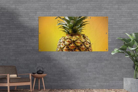 Affiche clôture Ananas - Fruit - Jaune - 200x100 cm - Toile de jardin