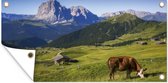 Affiche de jardin Vache - Berg - Alpes - 60x30 cm