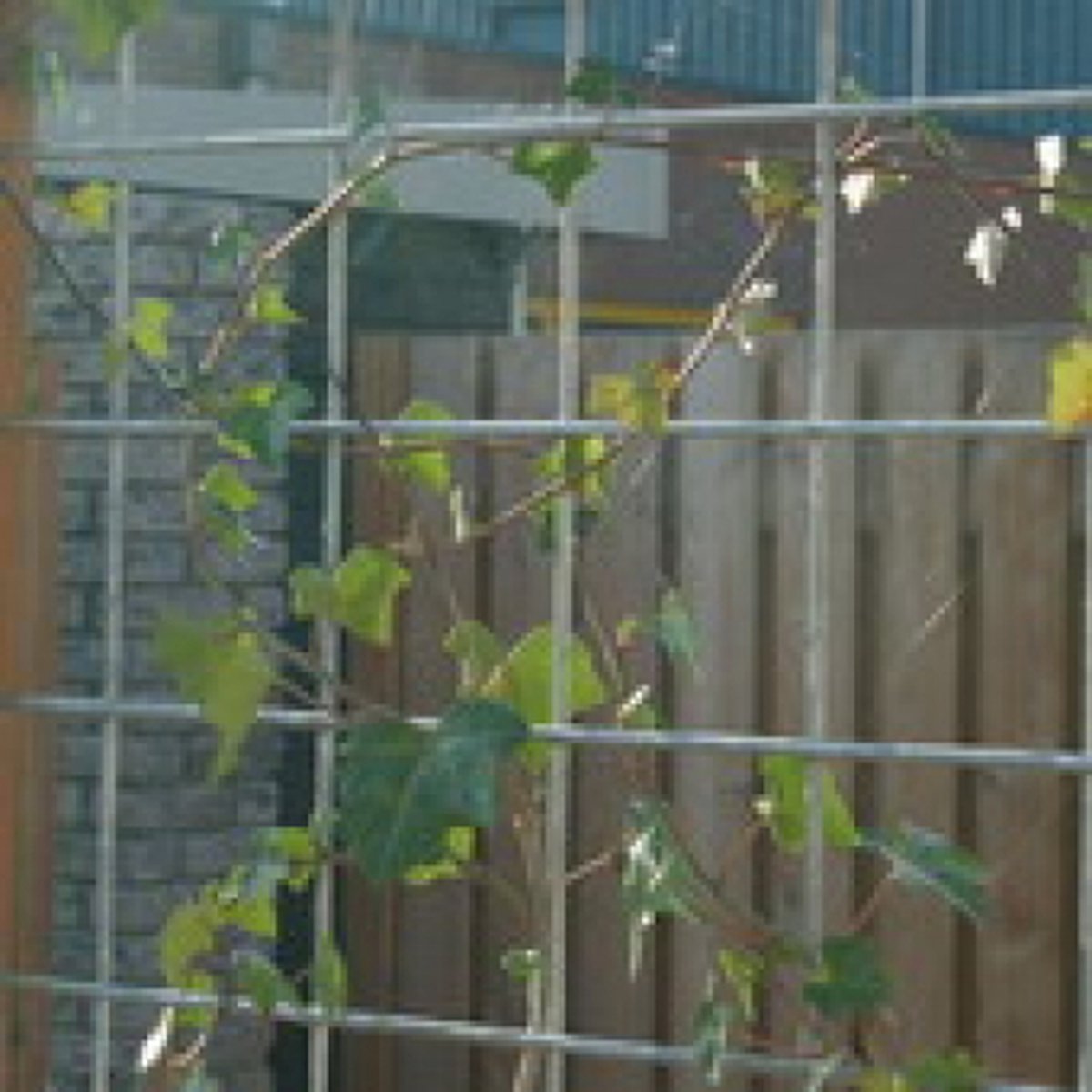 Bol.com Intergard Betongaas betonmat schutting vuurverzinkt hedera 2x3m 5/150mm aanbieding