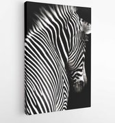 Zwart-wit zebrabeeld onder een interessante hoek met het hoofd en de schouders. Zebra kijkt een beetje weg van de camera en geïsoleerd op een zwarte achtergrond - Modern Art Canvas