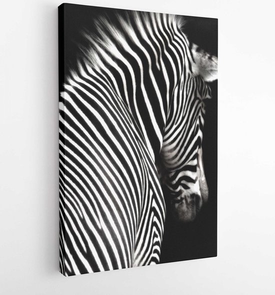 Zwart-wit zebrabeeld onder een interessante hoek met het hoofd en de schouders. Zebra kijkt een beetje weg van de camera en geïsoleerd op een zwarte achtergrond - Modern Art Canvas - Verticaal - 32906833 - 40-30 Vertical
