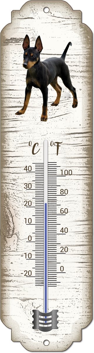 Thermometer: Doberman Pinscher | Hondenras | Temperatuur binnen en buiten | -25 tot +45C