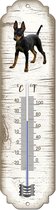 Thermomètre: chien nu / Race de chien / température intérieure et extérieure / -25 à + 45C