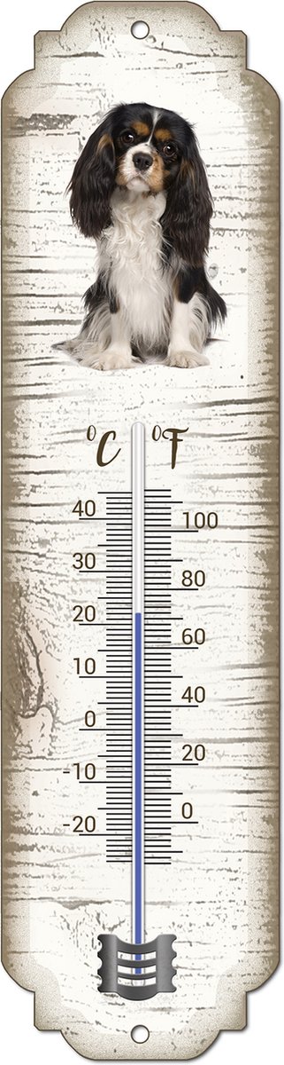 Thermometer: King Charles | Hondenras | Temperatuur binnen en buiten | -25 tot +45C