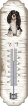 Thermomètre: Fox Terrier / race de chien / température intérieure et extérieure / -25 à + 45C
