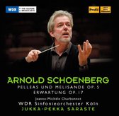 Schoenberg: Pelleas & Melisande Op.