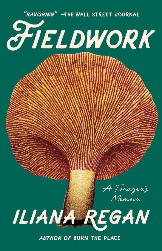 Fieldwork - cover