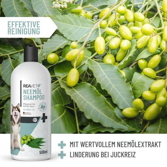 Quibropets Natte doekjes met chloorhexidine voor de poothygiëne van honden en katten, grondige en effectieve reiniging in één stap, pootenreiniger voor huisdieren, 80 stuks