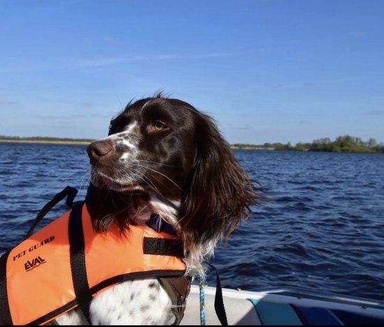 Zwemvest voor honden-15-40 kilo-Hondenzwemvest.