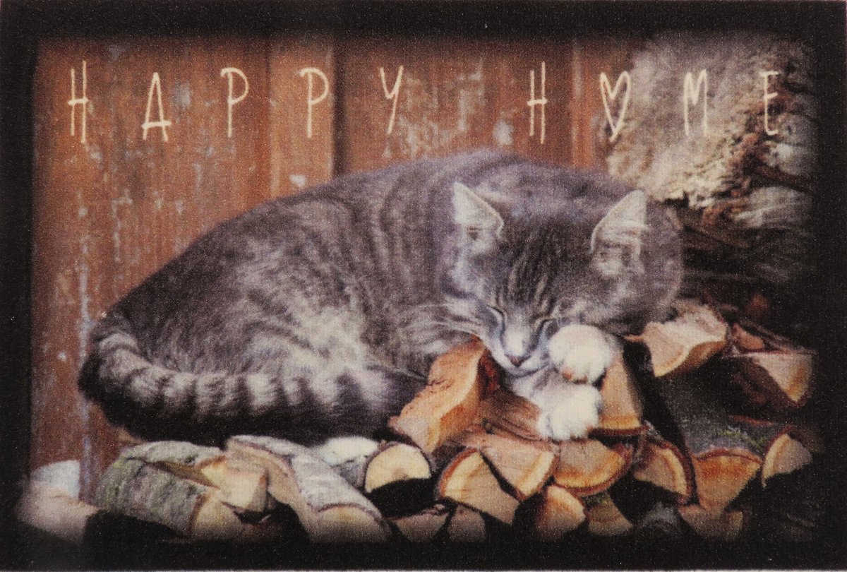 Ikado Deurmat foto slapende poes - 40 x 60 cm