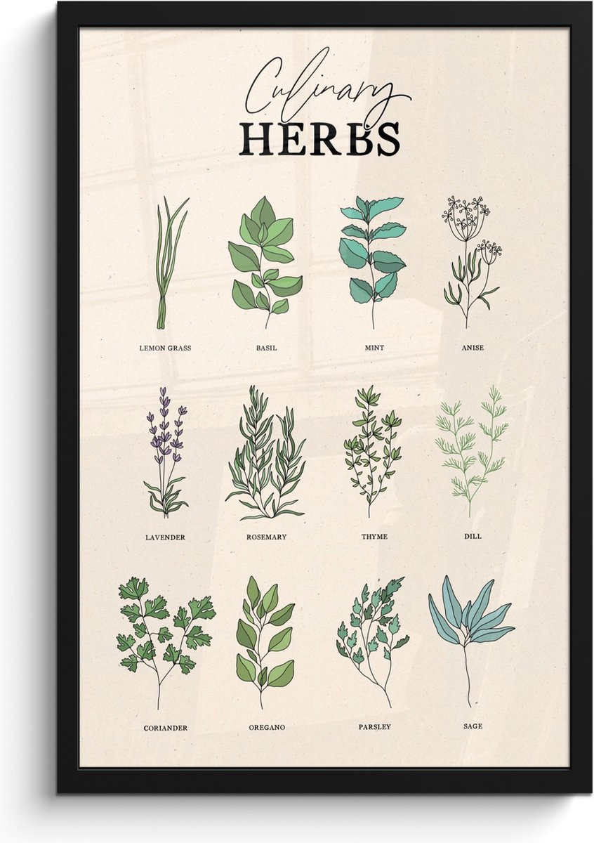 FrameYourWall Fotolijst inclusief poster - Posterlijst 40x60 cm - Posters - Kruiden - Planten - Herbs - Groen - Vintage - Foto in lijst - Keuken decoratie muur - Wanddecoratie accessoires - Muurdecoratie - Schilderijen Kruiden - Overzicht
