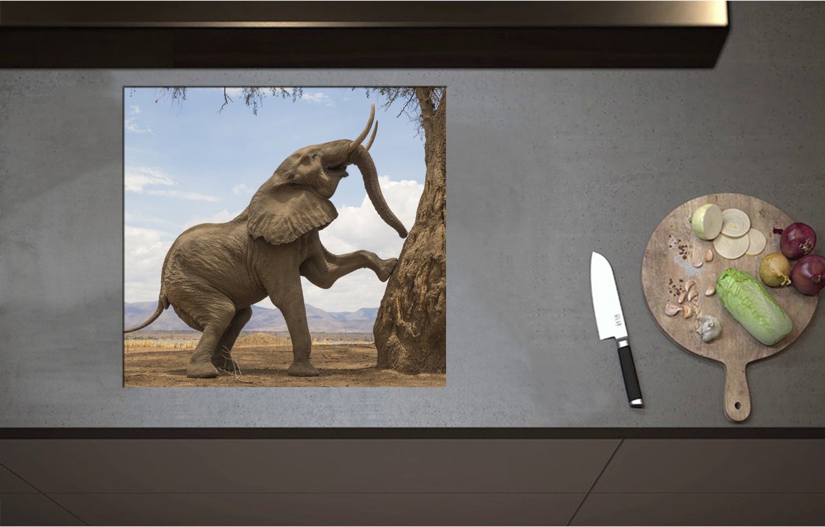 Inductieplaat Beschermer - Blije Afrikaanse Olifant - 59x55 cm - 2 mm Dik - Inductie Beschermer - Bescherming Inductiekookplaat - Kookplaat Beschermer van Wit Vinyl