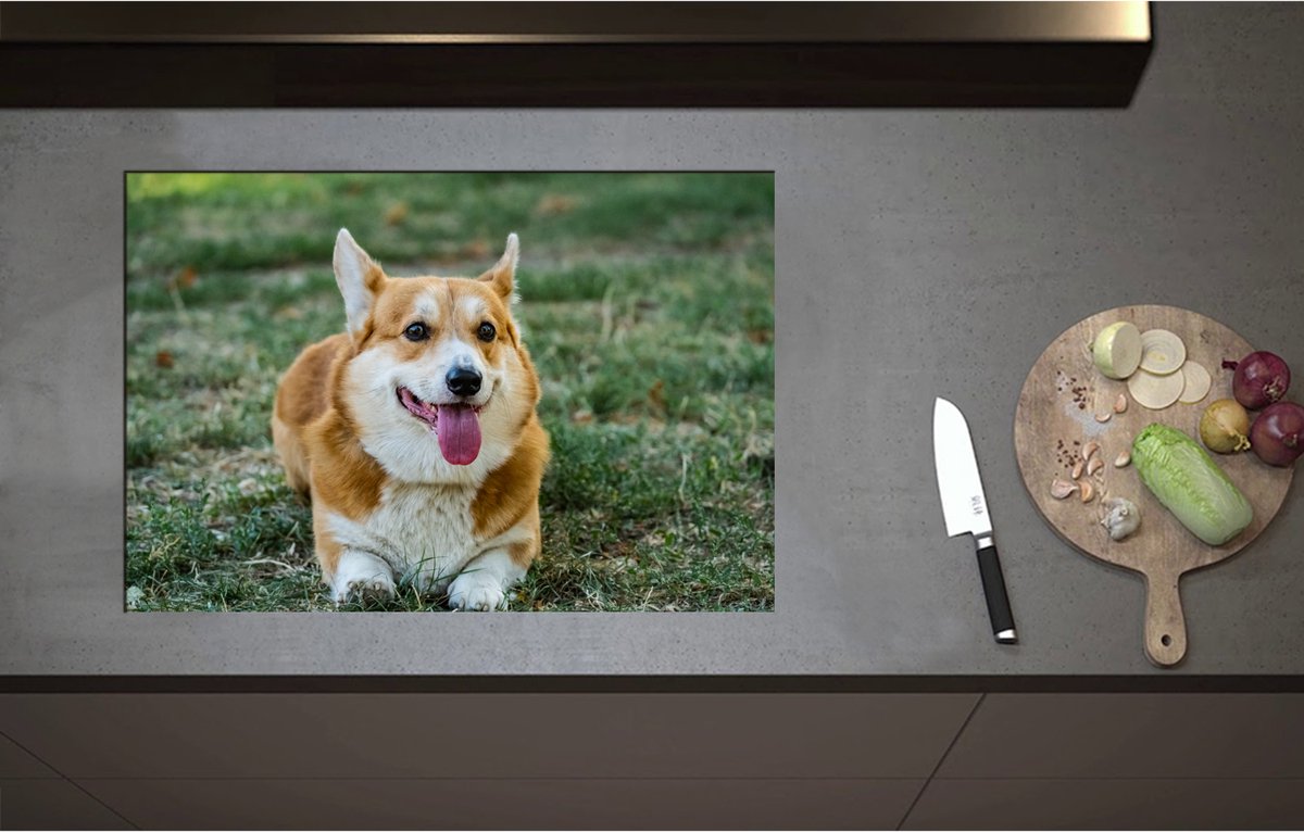 Inductieplaat Beschermer - Blije Corgi Hond met Uitstekende Tong in het Grasveld - 75x51 cm - 2 mm Dik - Inductie Beschermer - Bescherming Inductiekookplaat - Kookplaat Beschermer van Wit Vinyl