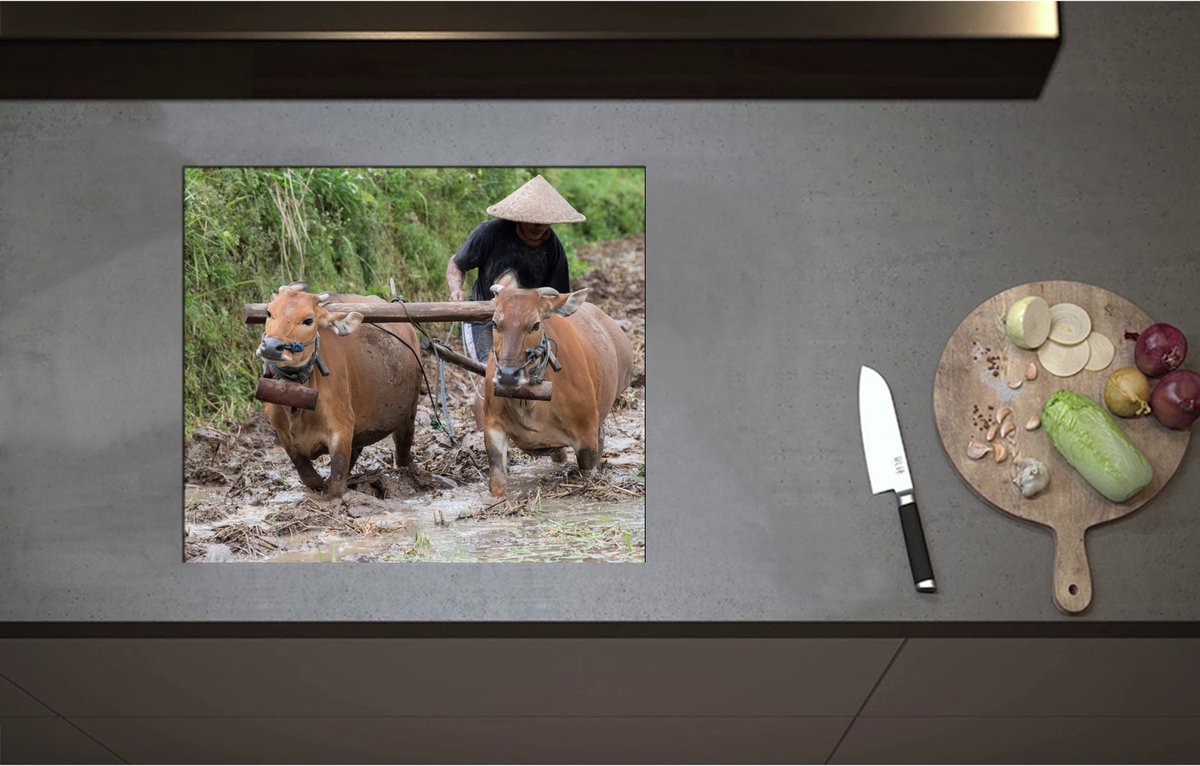 Inductieplaat Beschermer - Boer met twee Ossen aan het Werk op het Land - 58x50 cm - 2 mm Dik - Inductie Beschermer - Bescherming Inductiekookplaat - Kookplaat Beschermer van Zwart Vinyl