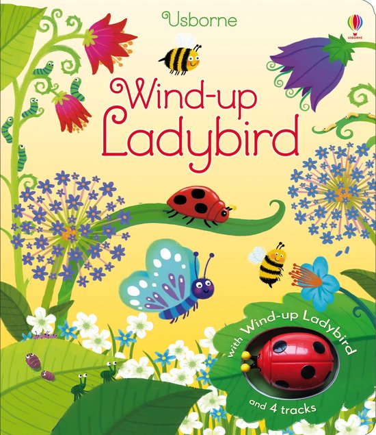 Foto: Wind up ladybird