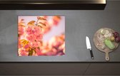 Inductieplaat Beschermer - Bloeiende Roze Bloesem Bloemen op Mooie Lentedag - 59x51 cm - 2 mm Dik - Inductie Beschermer - Bescherming Inductiekookplaat - Kookplaat Beschermer van Zwart Vinyl