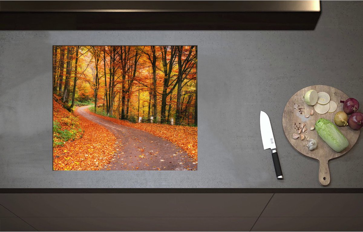 Inductieplaat Beschermer - Bospad door Herfstbos vol met Herfstkleuren - 60x52 cm - 2 mm Dik - Inductie Beschermer - Bescherming Inductiekookplaat - Kookplaat Beschermer van Zwart Vinyl