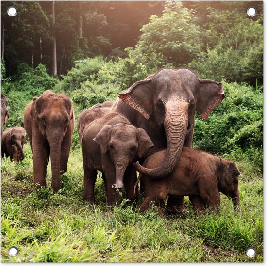 Tuinposters Olifant - Dieren - Bos - Gras - Groen - 50x50 cm - Tuindoek - Buitenposter