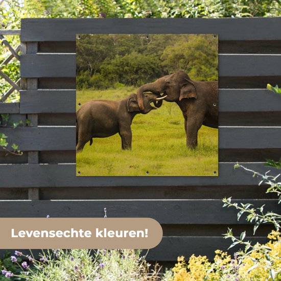 Torchon de jardin Deux éléphants combattants - 100x100 cm