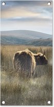 Tuinposter Schotse Hooglanders - Mist - Gras - 30x60 cm - Tuindoek - Buitenposter