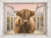Tuinposter Schotse hooglander - Doorkijk - Koe - 160x120 cm - Tuindoek - Buitenposter