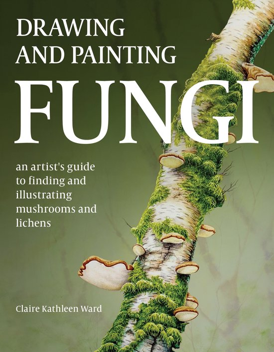 Foto: Drawing and painting fungi