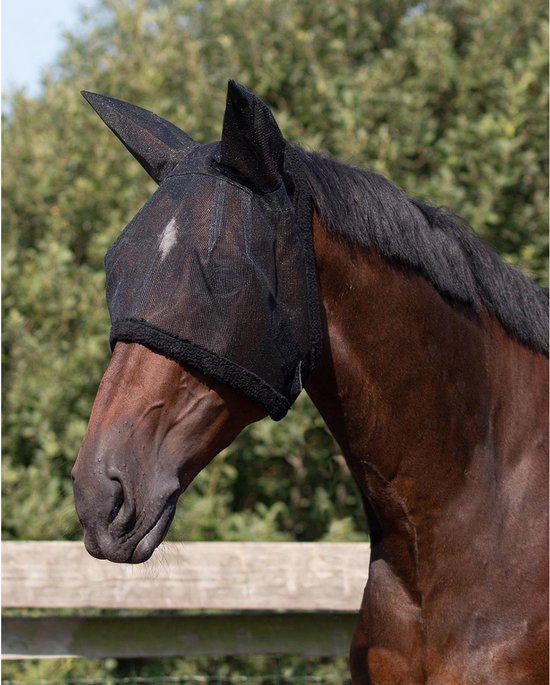 Bruine paard met zwart vliegenmasker met oren, buiten.