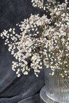 Gypsophila gedroogde, - Baby's Breath - 100% natuurlijke Gypsophila gedroogde bloemen, echt gedroogde bloemenboeket voor bruiloft, bruidsboeketten, vazen, pampasgras decoratie