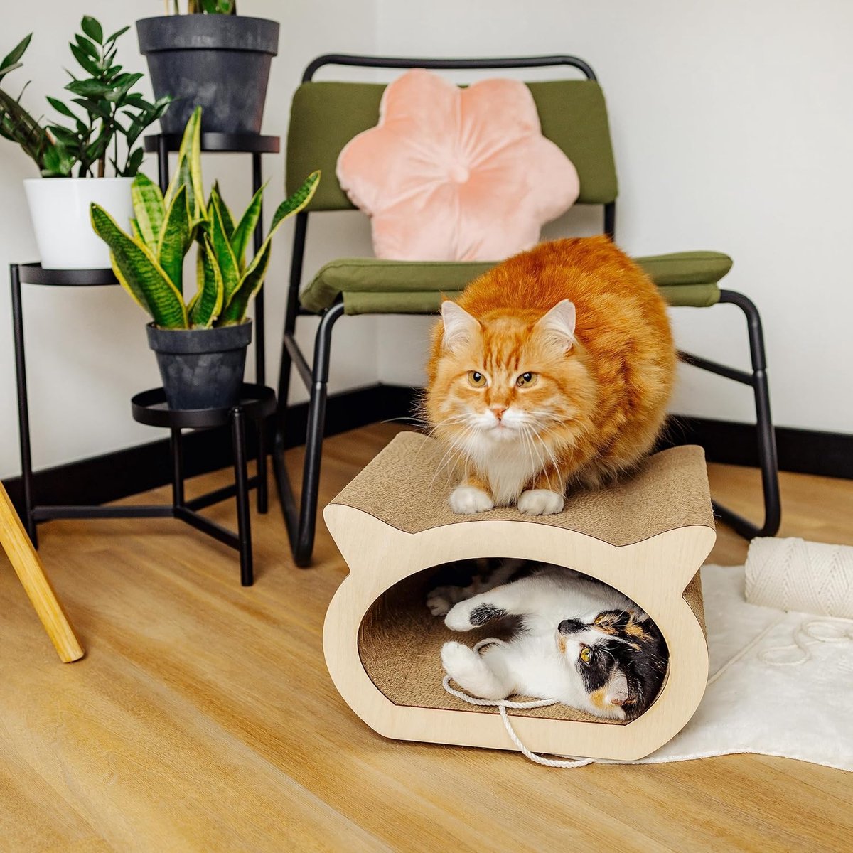 Creative Pets Kattenkrabplank - Golfkarton met Multiplex, 2-in-1 thumbnail 4