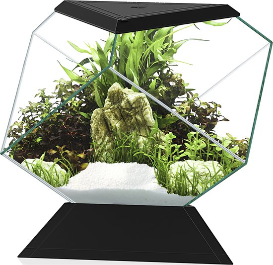 Ciano Aquarium Nexus Betta 5C - 27x31x26 cm - Zwart