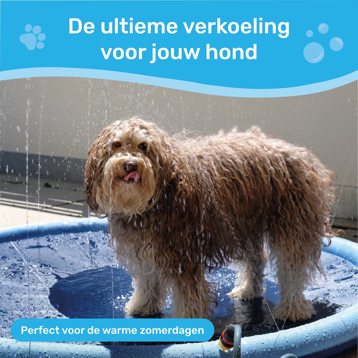 Dutchwide Ø 200cm Hondenzwembad - Met Sproeiers - Anti Slip Hondendouche - Bad voor Honden - Waterspeelgoed Hond - Fontein - Zwembad - Hondenbad — afbeelding 3