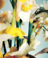 IXXI Primavera - Wanddecoratie - Bloemen en Planten - 100 x 120 cm