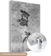 MuchoWow® Glasschilderij 30x40 cm - Schilderij acrylglas - Schildpadden zwart-wit foto - Foto op glas - Schilderijen