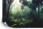 Fotobehang Dark Rainforest, Sun Rays Through The Trees, Rich Jungle Greenery. Atmospheric Fantasy Forest. 3D .