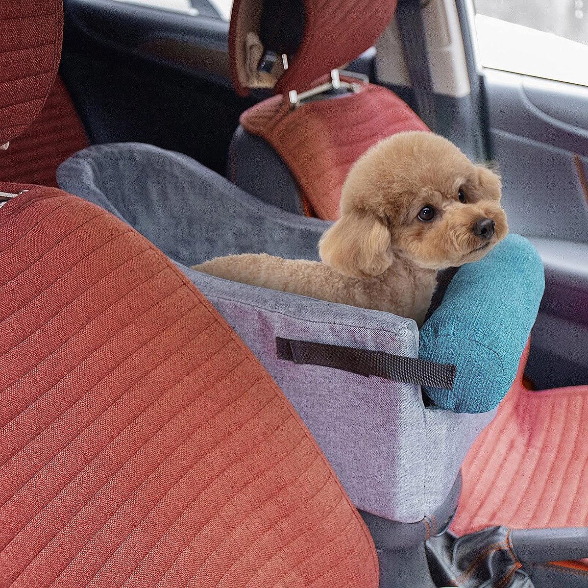 Lit de sécurité amovible pour animaux de compagnie, siège de voiture pour  chien