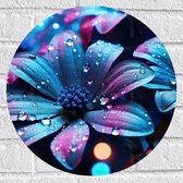 Muursticker Cirkel - Bloemen - Druppels - Blauw - Roze - 40x40 cm Foto op Muursticker