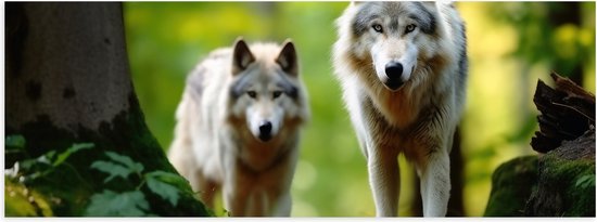 Poster (Mat) - Wolven Sluipend door het Groene Bos - 120x40 cm Foto op Posterpapier met een Matte look