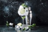 ensemble shaker à cocktail - Ensemble shaker à cocktail Premium