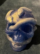 starwolf, halloween, schedel met slangen, blauw/wit