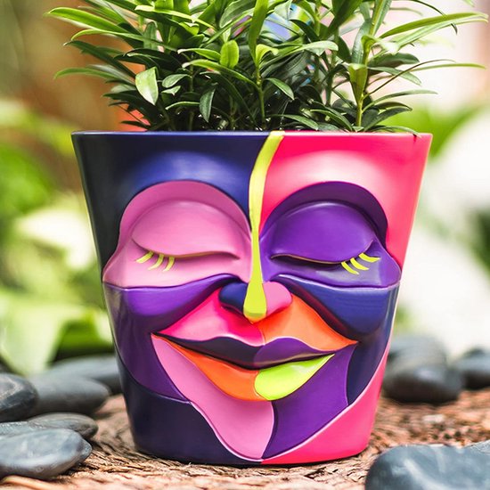 Pot de Jardinières de fleurs Pot de fleurs – Jardinières avec visage  graffiti, Pots de... | bol