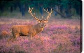 Painting King - Tableau sur toile Un cerf dans l'ornière - 30 x 20 cm