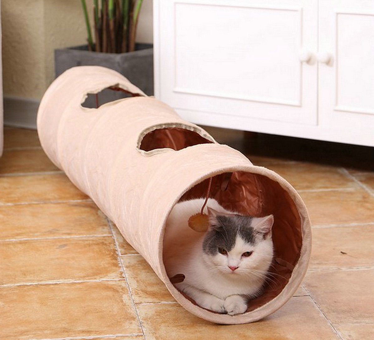 Kattenrugzakken met gratis bezorging in Nederland en België