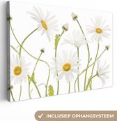 Canvas schilderij - Canvasdoek - Bloemen - Madelief - Wit - Geel - Planten - Wanddecoratie - 150x100 cm - Foto op canvas