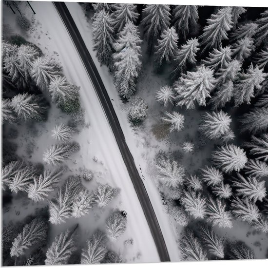 Acrylglas - Bovenaanzicht van Pad tussen Twee Bossen bedekt met Sneeuw (Zwart-wit) - 80x80 cm Foto op Acrylglas (Met Ophangsysteem)
