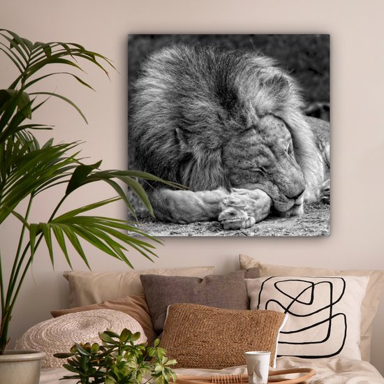 Toile de lion endormie 2cm 90x90 cm - Tirage photo sur toile (Décoration murale salon / chambre) / Peintures sur toile animaux sauvages