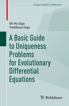 Compact Textbooks in Mathematics - A Basic Guide to Uniqueness Problems for Evolutionary Differential Equations