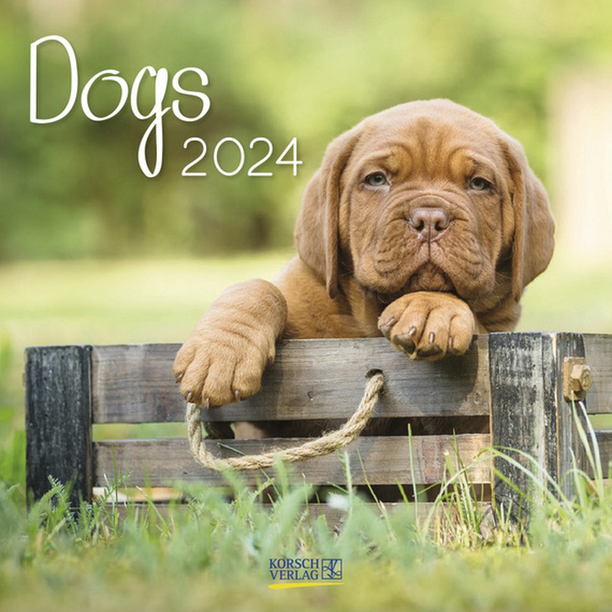 Dogs Kalender 2024